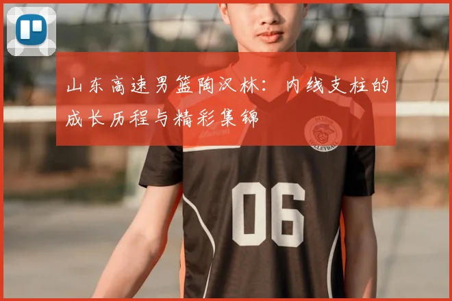 山东高速男篮陶汉林:内线支柱的成长历程与精彩集锦