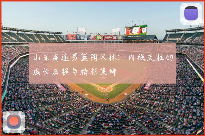 山东高速男篮陶汉林:内线支柱的成长历程与精彩集锦